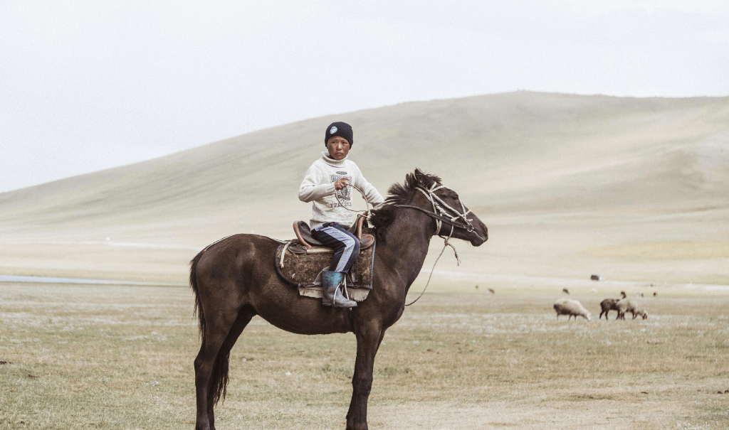 young boy on a horse