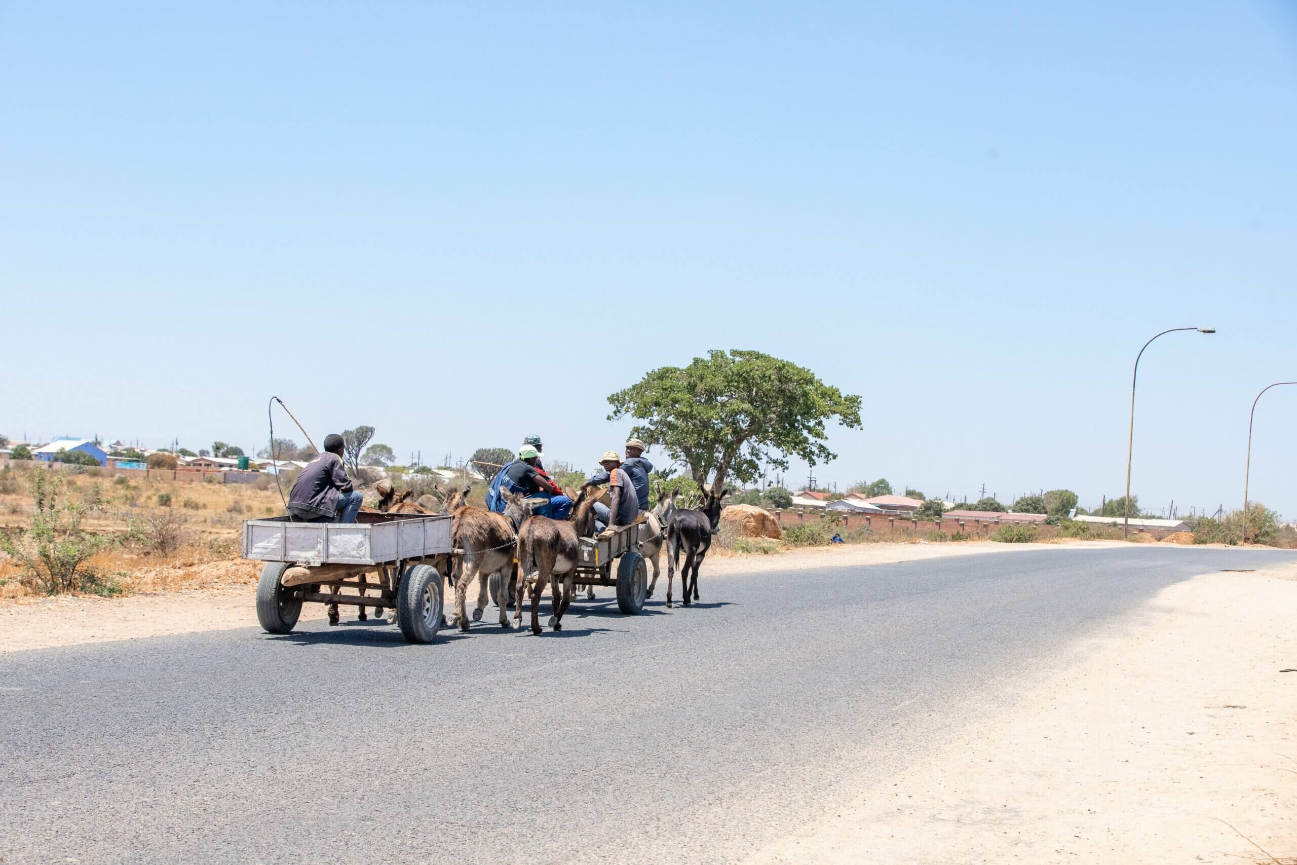 Many Zimbabweans struggle to find adequate employment